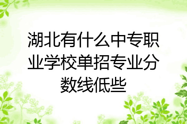 湖北有什么中专职业学校单招专业分数线低些