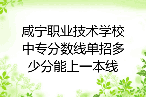 咸宁职业技术学校中专分数线单招多少分能上一本线