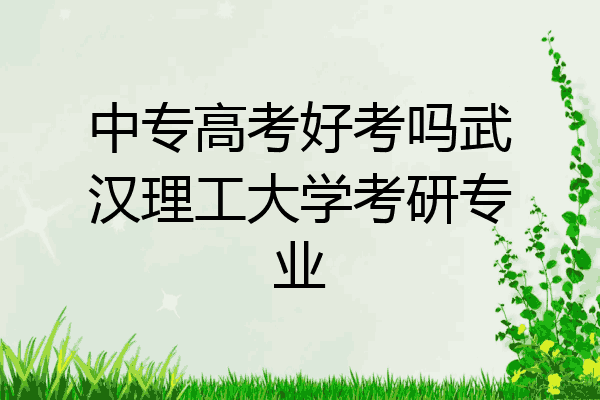 中专高考好考吗武汉理工大学考研专业