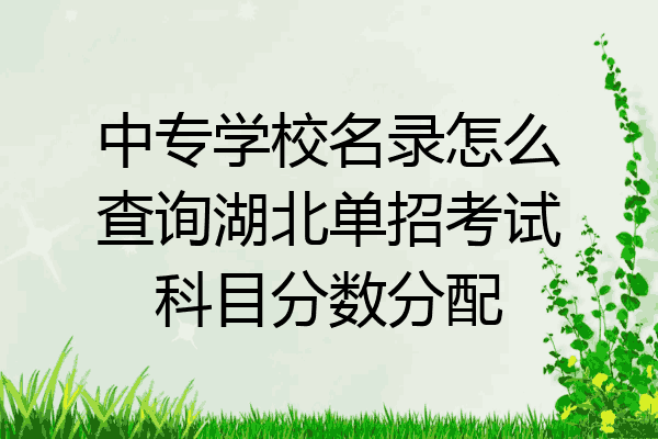 中专学校名录怎么查询湖北单招考试科目分数分配