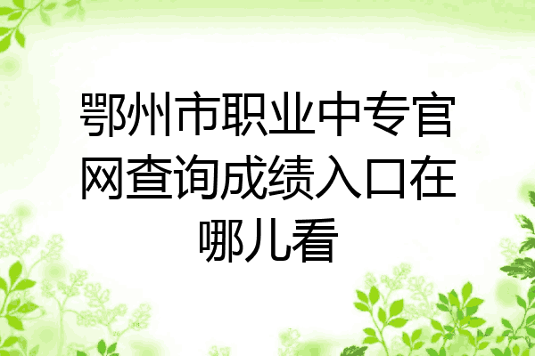鄂州市职业中专官网查询成绩入口在哪儿看