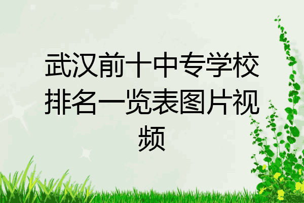 武汉前十中专学校排名一览表图片视频