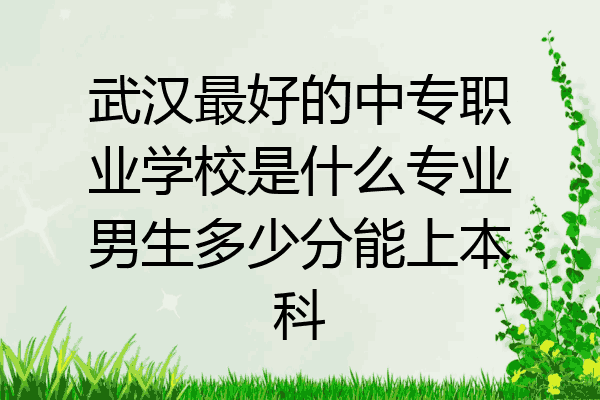 武汉最好的中专职业学校是什么专业男生多少分能上本科