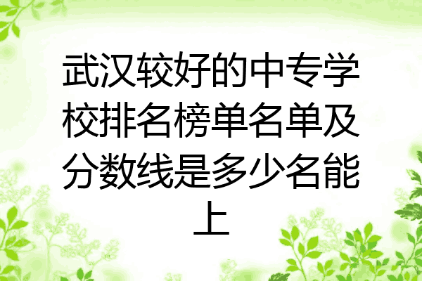 武汉较好的中专学校排名榜单名单及分数线是多少名能上