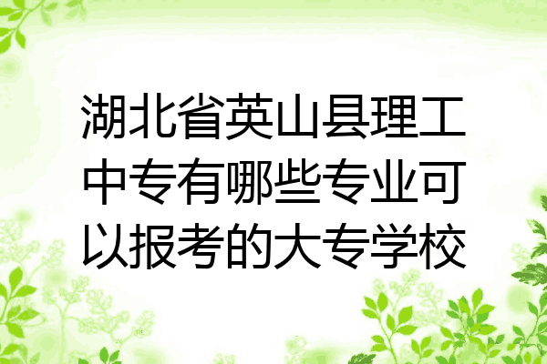 湖北省英山县理工中专有哪些专业可以报考的大专学校