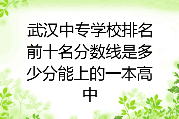武汉中专学校排名前十名分数线是多少分能上的一本高中