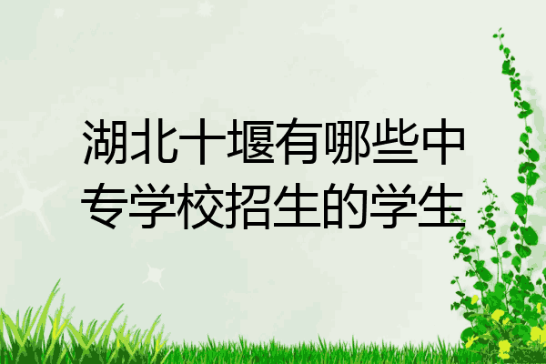 湖北十堰有哪些中专学校招生的学生