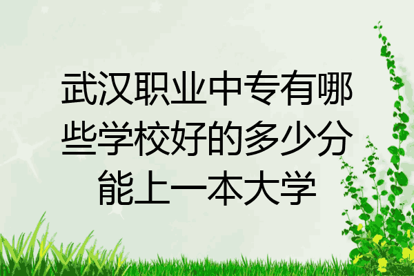 武汉职业中专有哪些学校好的多少分能上一本大学