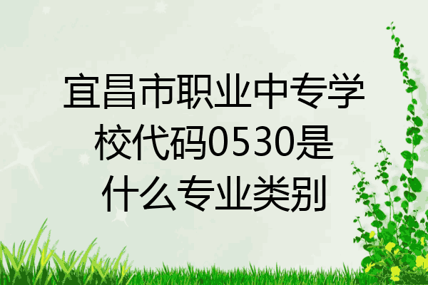 宜昌市职业中专学校代码0530是什么专业类别