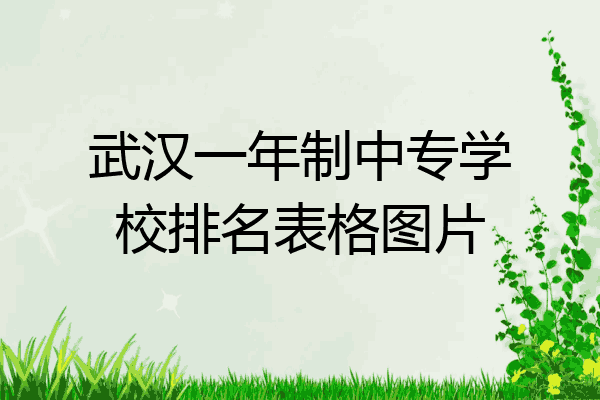 武汉一年制中专学校排名表格图片