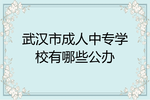 武汉市成人中专学校有哪些公办