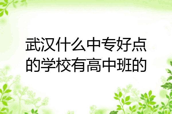 武汉什么中专好点的学校有高中班的
