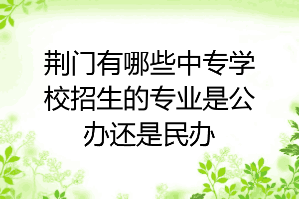 荆门有哪些中专学校招生的专业是公办还是民办