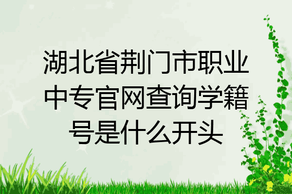 湖北省荆门市职业中专官网查询学籍号是什么开头