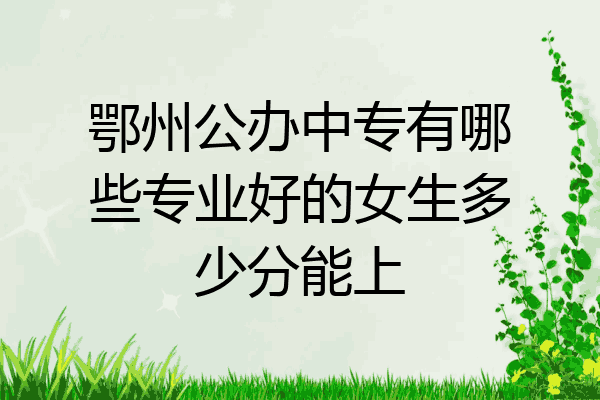 鄂州公办中专有哪些专业好的女生多少分能上