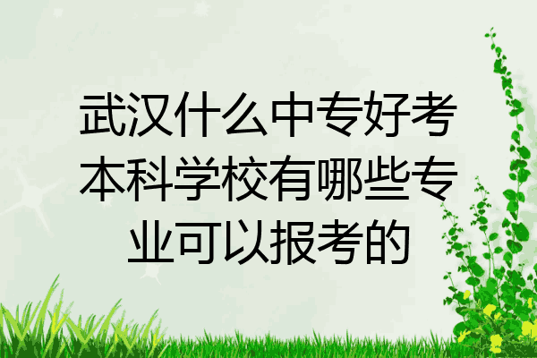 武汉什么中专好考本科学校有哪些专业可以报考的