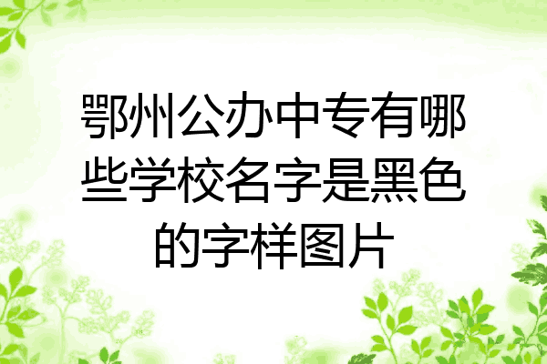 鄂州公办中专有哪些学校名字是黑色的字样图片