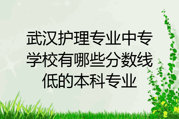 武汉护理专业中专学校有哪些分数线低的本科专业
