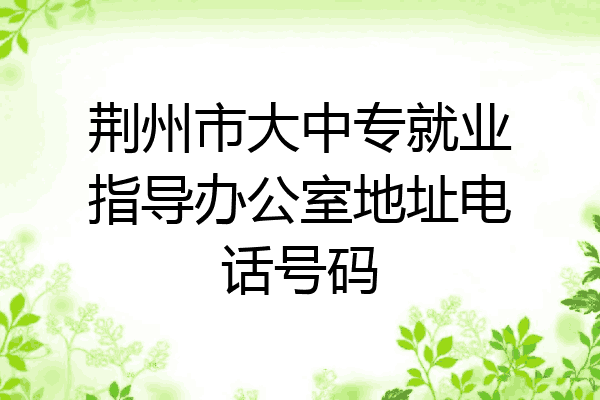 荆州市大中专就业指导办公室地址电话号码