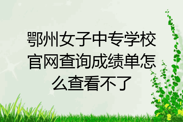 鄂州女子中专学校官网查询成绩单怎么查看不了