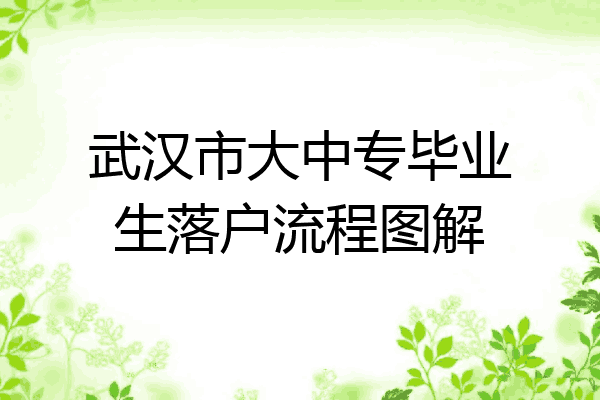 武汉市大中专毕业生落户流程图解