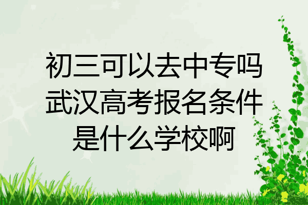 初三可以去中专吗武汉高考报名条件是什么学校啊