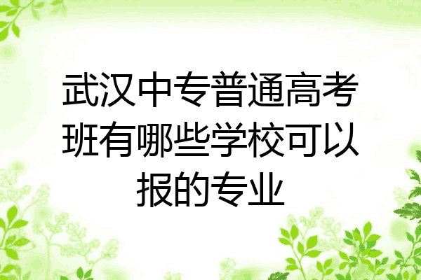 武汉中专普通高考班有哪些学校可以报的专业