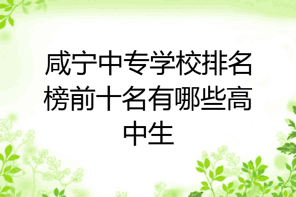 咸宁中专学校排名榜前十名有哪些高中生