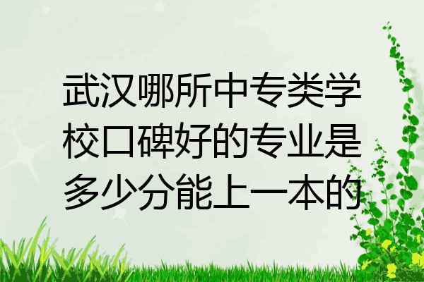 武汉哪所中专类学校口碑好的专业是多少分能上一本的