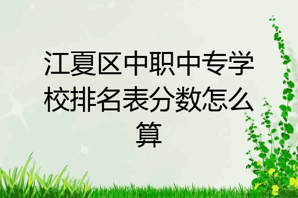 江夏区中职中专学校排名表分数怎么算