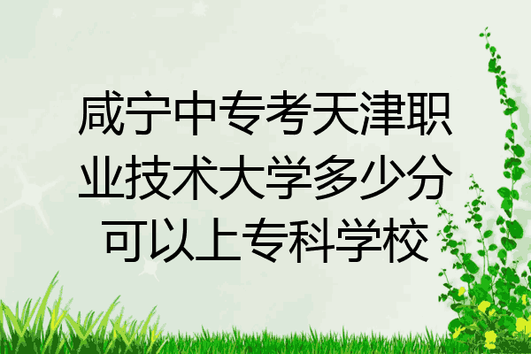咸宁中专考天津职业技术大学多少分可以上专科学校