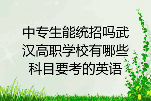 中专生能统招吗武汉高职学校有哪些科目要考的英语