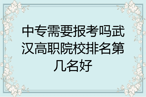 中专需要报考吗武汉高职院校排名第几名好