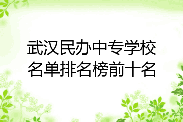 武汉民办中专学校名单排名榜前十名