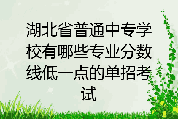 湖北省普通中专学校有哪些专业分数线低一点的单招考试