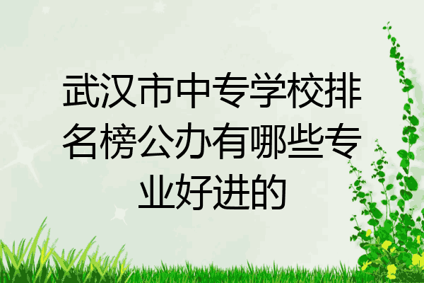 武汉市中专学校排名榜公办有哪些专业好进的