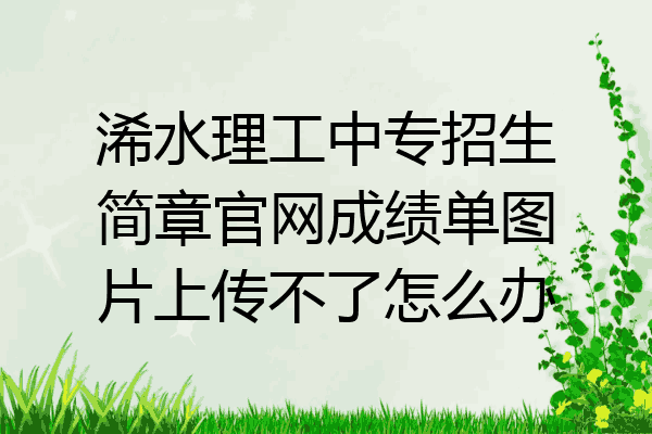 浠水理工中专招生简章官网成绩单图片上传不了怎么办