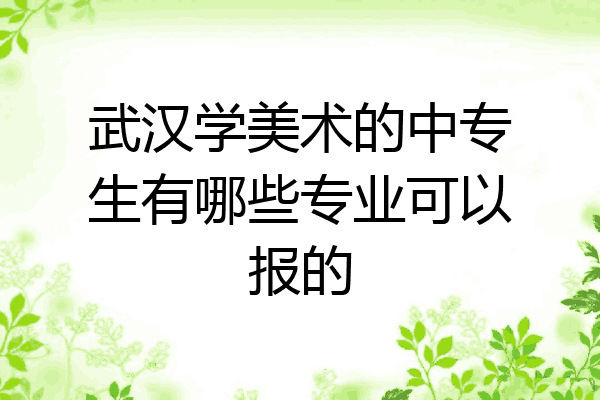 武汉学美术的中专生有哪些专业可以报的