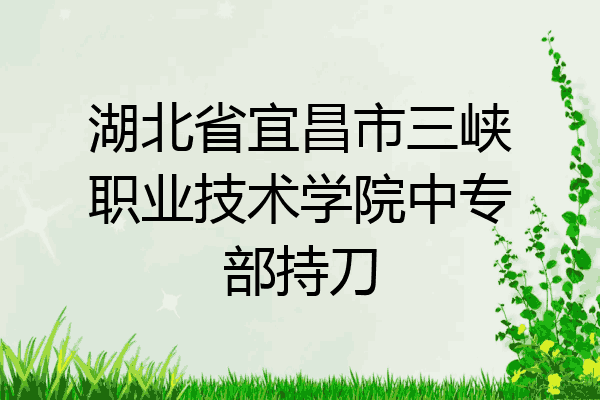 湖北省宜昌市三峡职业技术学院中专部持刀