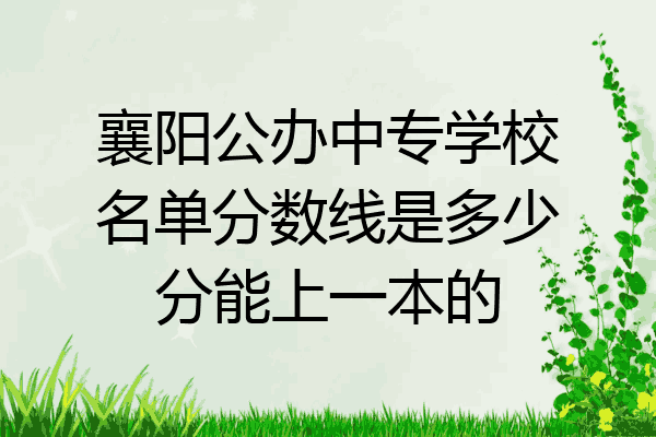 襄阳公办中专学校名单分数线是多少分能上一本的