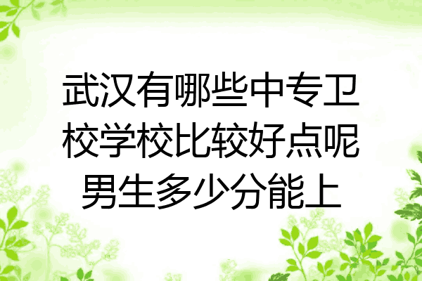 武汉有哪些中专卫校学校比较好点呢男生多少分能上