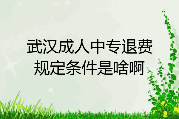 武汉成人中专退费规定条件是啥啊
