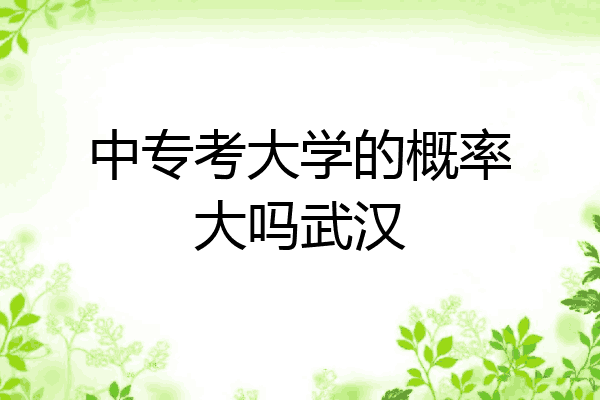 中专考大学的概率大吗武汉