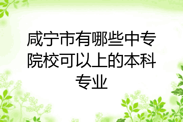 咸宁市有哪些中专院校可以上的本科专业