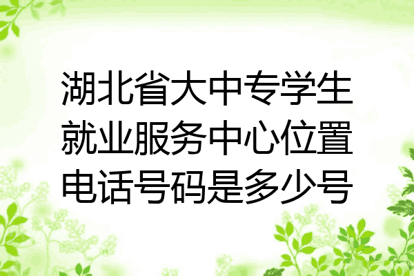 湖北省大中专学生就业服务中心位置电话号码是多少号
