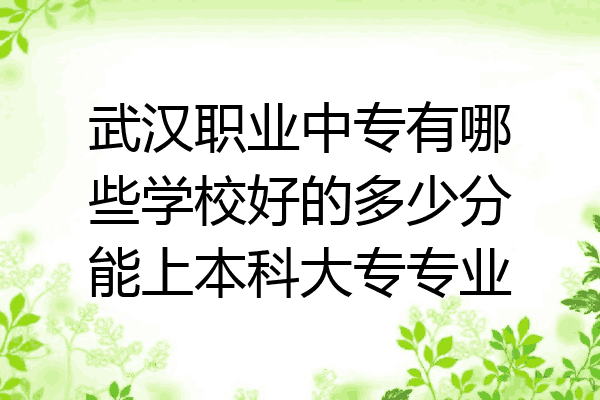 武汉职业中专有哪些学校好的多少分能上本科大专专业