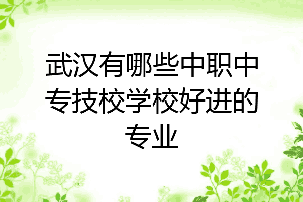 武汉有哪些中职中专技校学校好进的专业