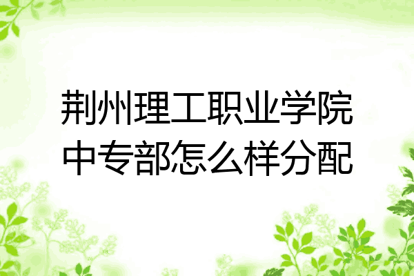 荆州理工职业学院中专部怎么样分配