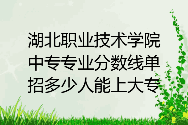 湖北职业技术学院中专专业分数线单招多少人能上大专