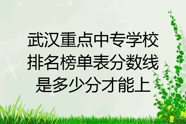 武汉重点中专学校排名榜单表分数线是多少分才能上